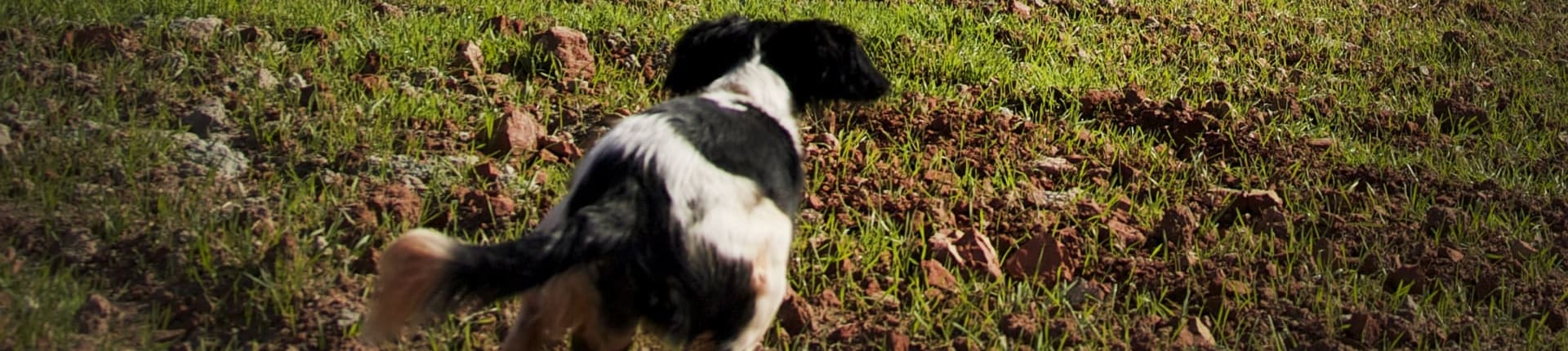 jakter_banner_16
