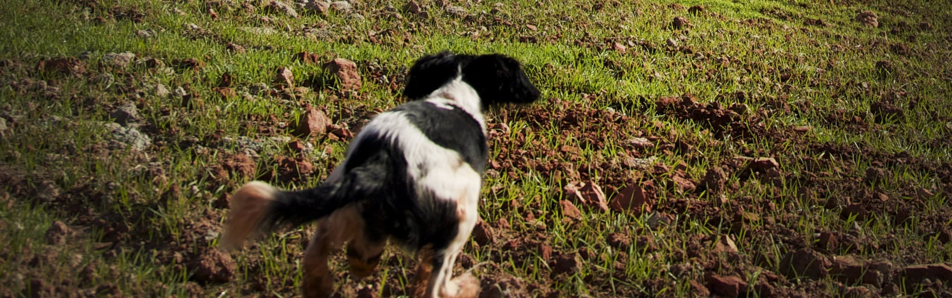jakter_banner_16